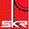 SKR Antriebstechnik GmbH logo