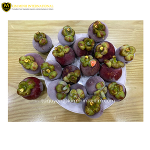 Mangostán Congelado IQF de Primera Calidad de Vietnam, la Mejor Calidad en Suministro a Granel, Sabor Dulce, Envasado al Vacío - Product Image 5