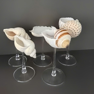 Hermosa Copa de Concha Marina de Vietnam para Mesa de Fiesta y Fines Decorativos - Product Image 6