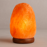 Lampe de sel de l'Himalaya sculptée à la main, 100% naturelle, 2-3kg, forme cinq étoiles, durable, purificateur d'air, logo personnalisé, Feng Shui