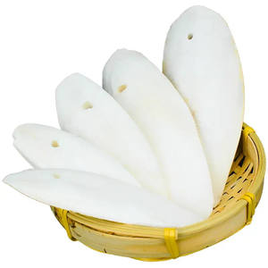 Os de seiche riche en calcium pour tous les oiseaux - Product Image 5