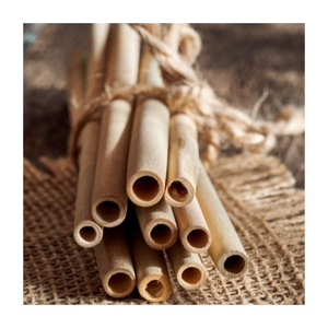 Pajitas de bambú, biodegradables, no contaminantes, accesorio elegante para bebidas favoritas, Vida Sostenible hecha simple de Vietnam - Product Image 2