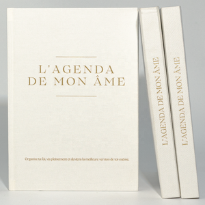 Tinh Tế Ràng Buộc Tùy Chỉnh Kế Hoạch In Ấn Linen Bìa Máy Tính Xách Tay Goden Dập Kế Hoạch Nhật Ký - Product Image 1