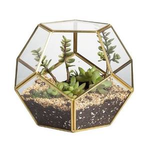 Metal hecho a mano personalizado con vidrio geométrico terrario maceta jardín Mesa pantalla maceta para hogar Hotel decorativo - Product Image 4