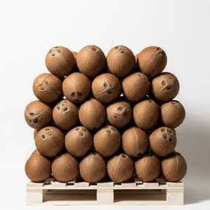 Approvisionnement en vrac de noix de coco fraîches de qualité supérieure pour l'exportation, semi-décortiqué ou entier, idéal pour la cuisson, l'extraction et la vente au détail d'huile potable - Product Image 6