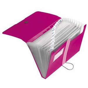 Herlitz Easy Orga to Go <b>Expanding</b> File DIN A4 Polypropylene Berry Color 12 Compartments - Product Image 1
