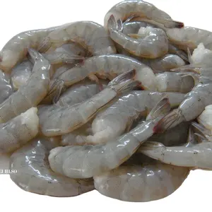 Fabrika toptan fiyat 100% doğal shrimps