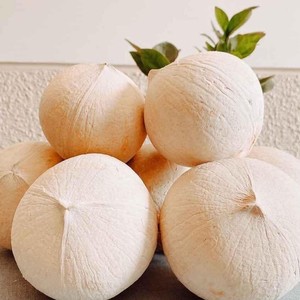 Bolsa de vacío de embalaje de coco Calvo joven fresco tropical superventas GRADO DE EXPORTACIÓN DE Vietnam - Product Image 6
