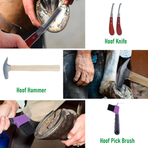 Kit d'outils de maréchal-ferrant professionnel 8 pièces tondeuses à sabots de cheval pour vétérinaires et cavaliers outils vétérinaires en acier inoxydable - Product Image 6