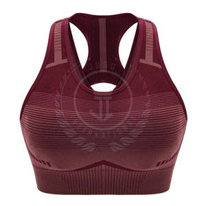 Low Price Best Selling Women's High Support Breathable Sports Bra <b>Adjustable</b> <b>Straps</b> Front Logo Quick Dry Yoga Adults Removable - Product Image 1