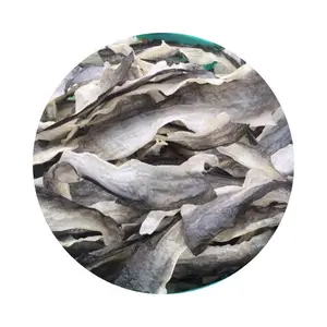 עסקה חמה 2024 עור דג באסה מווייטנאם עם איכות גבוהה והמחיר הטוב ביותר בשוק/Ms.Thi +84988872713