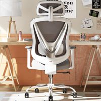 Chaise de bureau ergonomique en maille OEM avec soutien lombaire réglable, accoudoirs 3D, dossier en V, chaise de bureau réglable pour le bureau, blanche