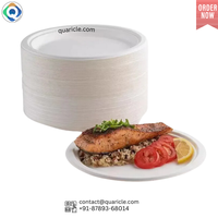 Lot de 12 assiettes jetables biodégradables en bagasse de canne à sucre blanches de 12 pouces – Écologiques pour restaurants, plats à emporter, fêtes et mariages