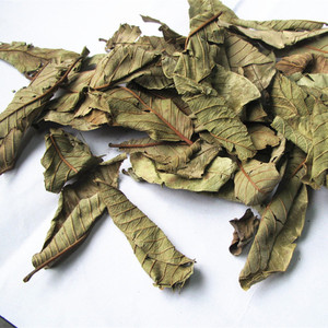 ใบฝรั่ง - Product Image 3