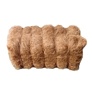 Vente en gros de fibres de palmier naturelles / fibres de sisal / fibres de noix de coco - Product Image 5