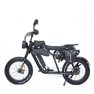 Pièces détachées pour vélo électrique 20'' MOPED : Cadre, sac, <span class=keywords><strong>porte</strong></span>-bagages latéral, verrouillage pliable, montage facile et rapide - Product Image 1
