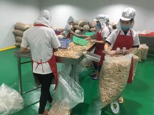 Jacquier sec à base de fruits vietnamiens authentiques, idéal pour l'exportation d'aliments sucrés et de collations - Product Image 4