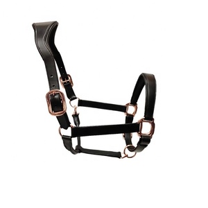 Licou de cheval de polo en cuir de vache argentin traditionnel cousu à la main style de selle anglaise licou de cheval de polo en cuir de vache OEM & ODM - Product Image 1