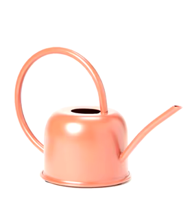 Arrosoirs en métal luxueux les plus vendus avec long bec très demandé maison jardin fournitures de jardin décoratives meilleur vendeur - Product Image 5