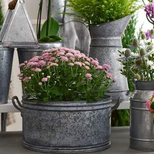 Bañera de maceta galvanizada Premium para Bodas de temática rústica, eventos en el patio, decoración de jardín y configuraciones de patio elegantes - Product Image 2