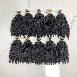 Tape Ins Curly Texture 100% Extensiones de cabello humano vietnamita Sin tejido químico Cutícula del cabello alineada Buen precio para mujeres negras - Product Image 1