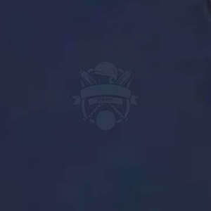 ชุดฝึกซ้อมเบสบอลแบบสั่งทำ OEM ระบายอากาศได้ดี ไซส์ใหญ่พิเศษ ผลิตจากโพลีเอสเตอร์ 100% คุณภาพสูง ราคาขายส่ง - Product Image 6