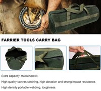 Juego profesional manual de acero inoxidable Clase I para el cuidado equino: limas ajustables para pezuñas, limas quirúrgicas veterinarias personalizadas para pezuñas.