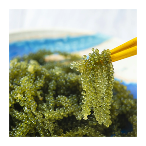 Raisin de mer frais et déshydraté du Vietnam-Approvisionnement en vrac de qualité supérieure pour l'exportation avec des offres de prix compétitifs - Product Image 1