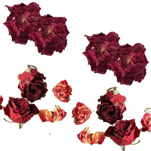 ดอกกุหลาบแห้งสีแดง | ส่วนผสมจากธรรมชาติสำหรับใบหน้าและผมหมอก - Product Image 5