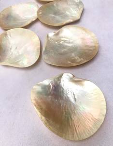 Plat de service et assiette en nacre de haute qualité, biodégradable, écologique, décoration côtière, vaisselle de luxe pour restaurant - Product Image 5