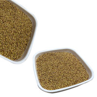 Berseem Clover | Repousse rapide pour coupes multiples