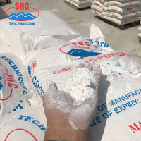Bubuk Kalsium Karbonat Super Halus untuk Industri Cat Asal Vietnam |   Grup SHC
