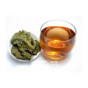 PRODUCTO CALIENTE HOJA DE GUAYABA SECA CON ALTA CALIDAD HECHO EN VIET NAM PRODUCTO AL MEJOR PRECIO DE BLUE LOTUS FARM VIET NAM 2024 - Product Image 1