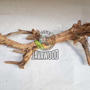 Bois flotté de qualité supérieure La décoration parfaite pour les aquariums et les vivariums d'Indonésie - Product Image 1