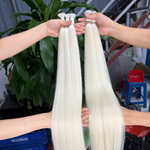 Cheveux vierges bruts couleur platine, cheveux humains naturels vietnamiens, cheveux bruts en vrac, lisses et soyeux - Product Image 4