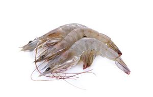 Camarones Vannamei Congelados de Primera Calidad, Tamaño Grande, Mariscos para Suministro al por Mayor - Product Image 3