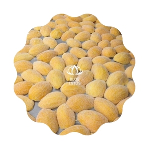 Được mong muốn nhất 2025 xoà<span class=keywords><strong>i</strong></span> chín đông lạnh, sử dụng trong sữa chua và bánh ngọt, một nguồn năng lượng tuyệt vờ<span class=keywords><strong>i</strong></span> và một món ăn nhiệt đớ<span class=keywords><strong>i</strong></span> không thể cưỡng lạ<span class=keywords><strong>i</strong></span> - Product Image 1