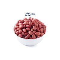 Exportation de graines d'arachides du Vietnam de haute qualité