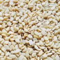 Sesame Seeds Hot Sale Sesame Seeds Import Price Golden Sesame Seeds White Golden Red High Quality