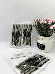 Extensions de cils 4D 0,05 mm, mix de 8-25 mm, courbures C CC DD D, éventails préfabriqués effet wispy, volume russe, en cachemire, avec pointes wispy - Product Image 4