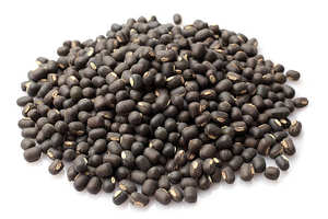 Urad Negro Premium, Vigna Mungo, Grado Alimenticio, Limpio, Clasificado, Tamaño Uniforme, Baja Humedad, Calidad Pura Garantizada, Legumbres Naturales - Product Image 5