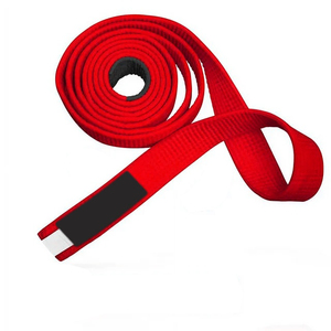 Vente en gros 2025 coton léger BJJ ceinture meilleur matériel conception personnalisée vêtements de sport en vrac BJJ ceinture - Product Image 6