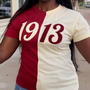 Demi-moitié 1913 DST Chenille T-shirt brodé Premium Cotton Sorority Apparel Delta Greek Clothing Maroon Neutral Two Tone T Shirt - Product Image 1