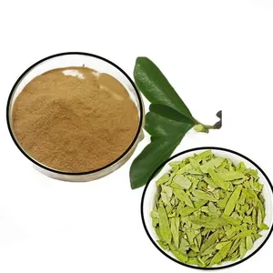 Polvo de Hoja de Senna Natural al por Mayor, Extracto de Grado Alimenticio, Suplemento Herbal, Sennosides de Cultivo Silvestre, Producto a Granel, Muestra Gratuita - Product Image 1