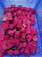 Direct verzonden vanuit Vietnam, VTP merk, Grade A verse natuurlijke drakenvrucht met rood/wit vruchtvlees in doos, nieuwe oogst.