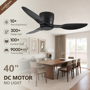40 Inch Modern <b>Ceiling</b> <b>Fan</b> No Light DC Motor <b>Remote</b> <b>Control</b> Indoor Outdoor Quiet <b>Ceiling</b> <b>Fan</b> with Reversible Airflow - Product Image 1