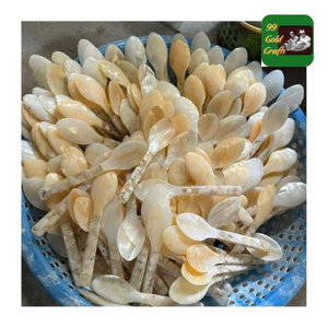 Cuillère à coquillage artisanale: cuillère à conque du Vietnam avec nacre, source naturelle pour la sophistication de la cuisine tendance - Product Image 1