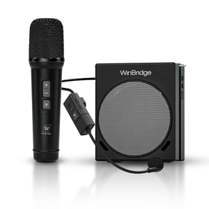 WinBridge S91 Système de sonorisation portable Haut-parleur 30W 2 microphones à main sans fil 5V USB-Chargement AUX Music Play Amplificateur vocal - Product Image 1