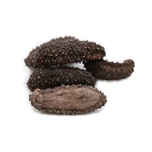 Concombre de mer séché du Mexique / Concombre de mer frais en gros - Product Image 3