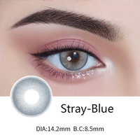 Boîte à lentilles de contact respirante personnalisée, emballée dans un sac OPP, service complet pris en charge, usine en Chine, lentilles colorées de 14,2 mm, une paire